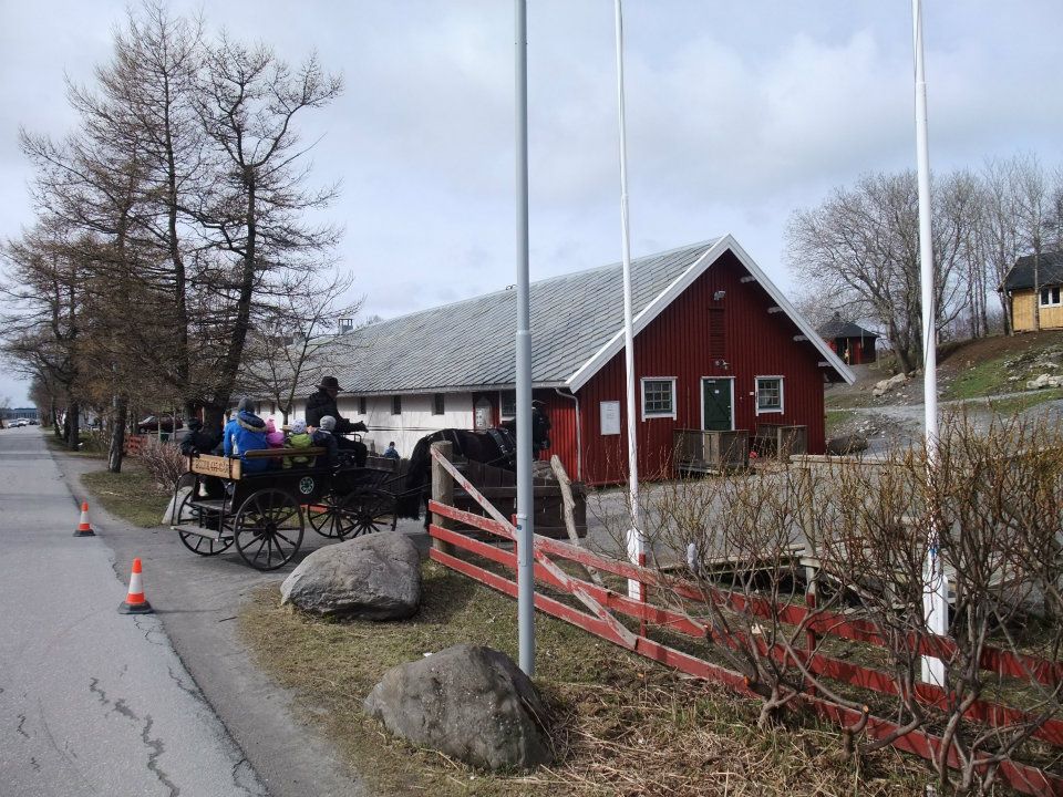 4h-gården