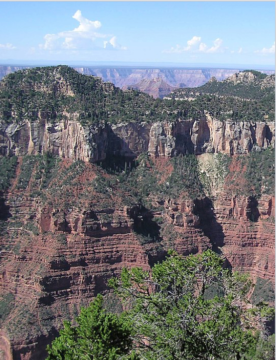 Arizona