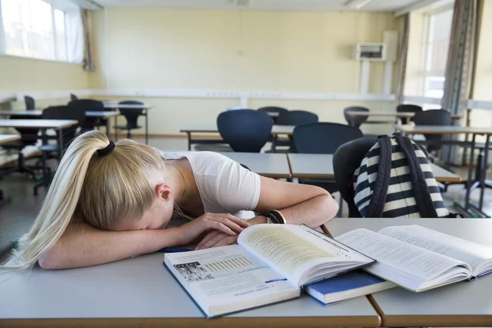 Leksefri skole!