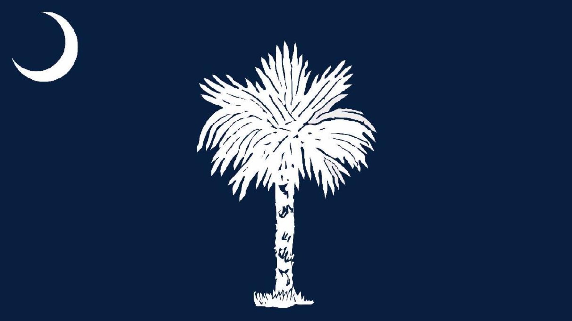 ☀️SOUTH CAROLINA ☀️